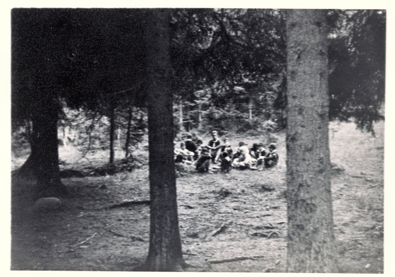 1966 BrPistaFelice-FioreRosso_VDB Arabba_chiacchierata nel bosco.jpg