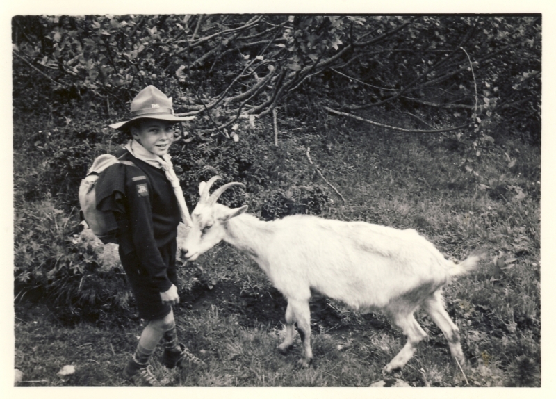 1966 BrPistaFelice-FioreRosso_VDB Arabba_uscita al Pordoi_Borrella e la capra.jpg