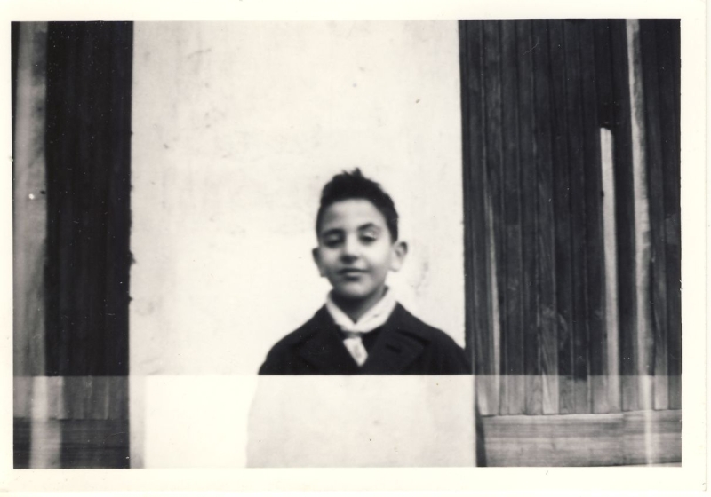 Branco pista felice lupetto in posa_2.jpg