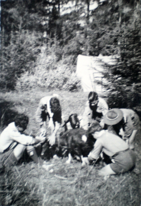 1955-rip-smdrovere-campo-domegge_salvataggio -di-una-capretta.jpg