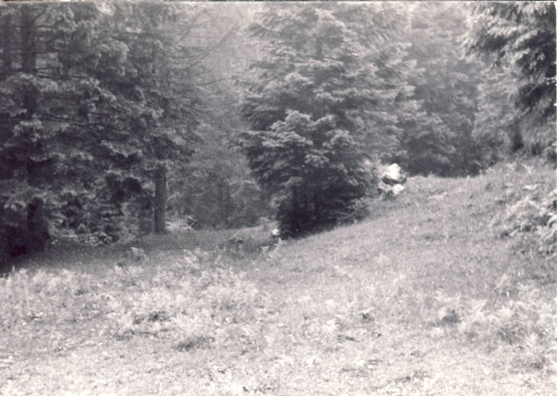 1964 lorenzago uscita alte sq tv2 posto campo_11.jpg