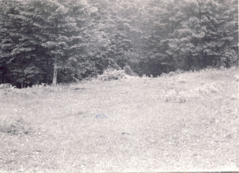 1964 lorenzago uscita alte sq tv2 posto campo_12.jpg