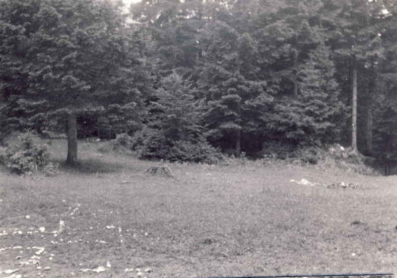 1964 lorenzago uscita alte sq tv2 posto campo_7.jpg