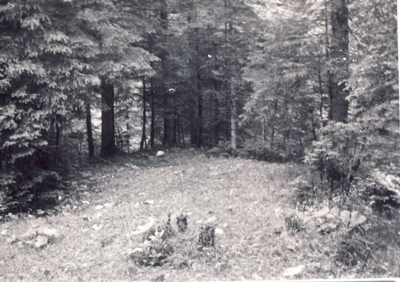 1964 lorenzago uscita alte sq tv2 posto campo_9.jpg