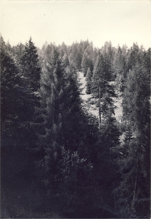 1964 rip MDRovere - campo della valle solitaria - lorenzago - sq castoro in uscita - passo Mauria_1.jpg