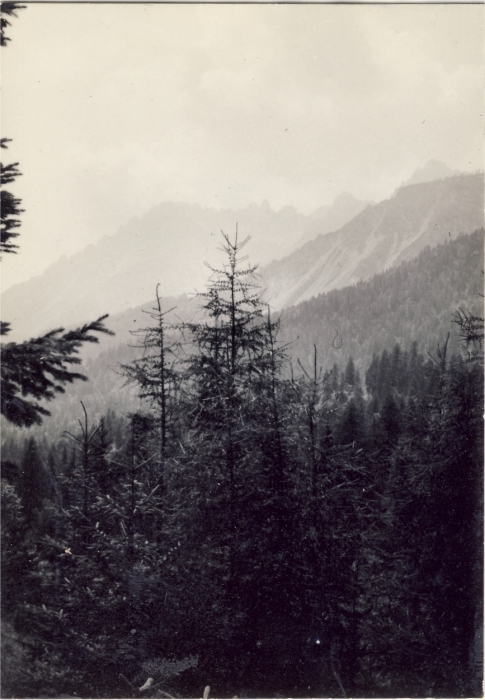 1964 rip MDRovere - campo della valle solitaria - lorenzago - veduta di Val di Rave.jpg