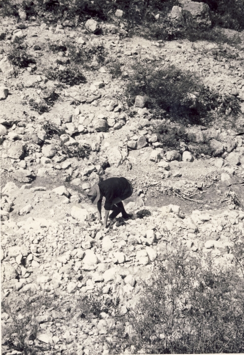 1964 Lorenzago- campo valle solitaria- alce rossa sul torrente.jpg