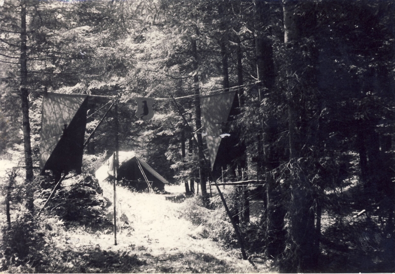 1964 Lorenzago- campo valle solitaria-angolo delle manguste.jpg