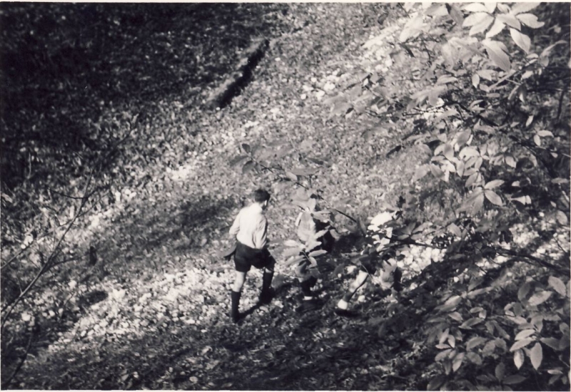 1965 uscita alta sq -villa viola possagno(girasole).jpg