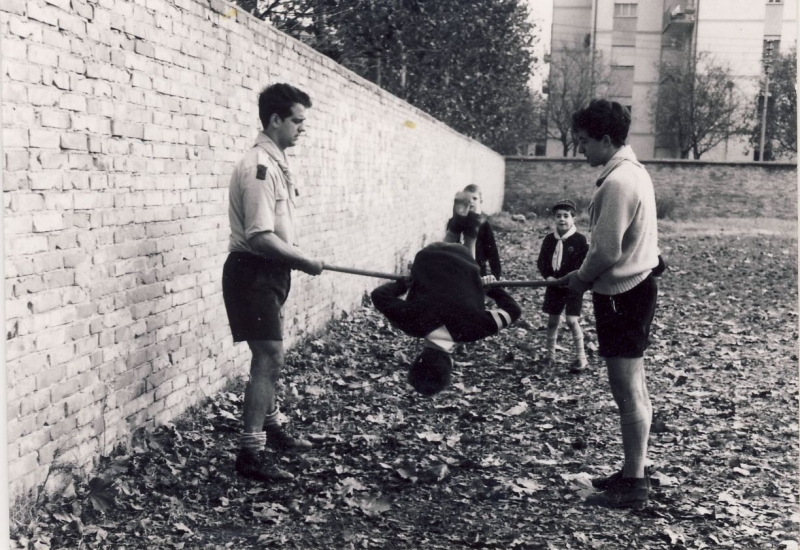 1969 branco fiore rosso - attività di consiglio d'akela.jpg