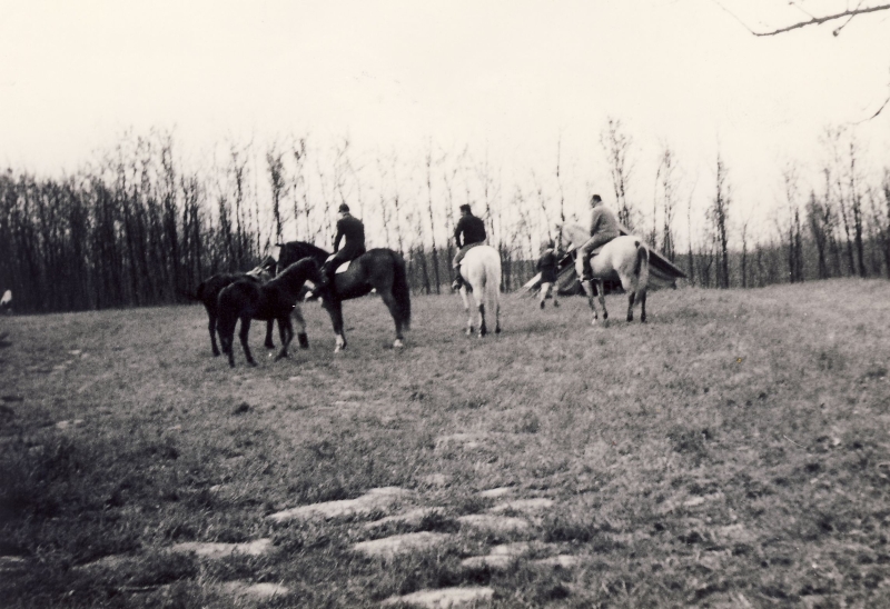 1969 montello uscita di rip s pioX-cavalli.jpg