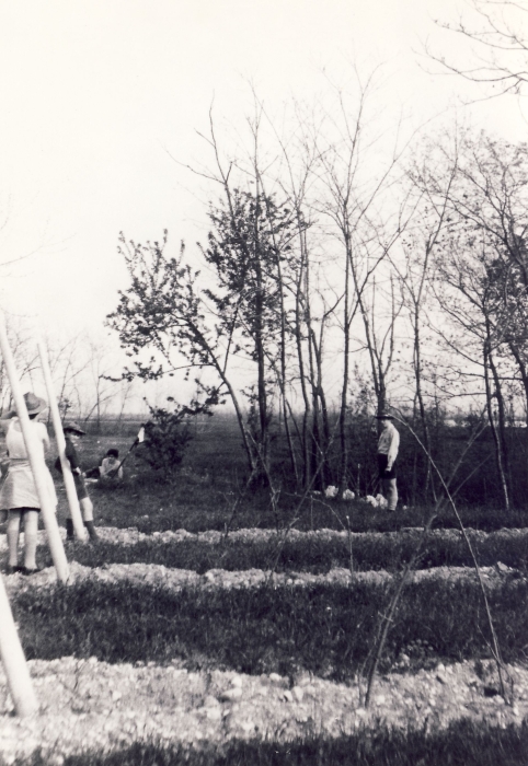 1970 rip san pio X uscita alta sq al piave_2.jpg