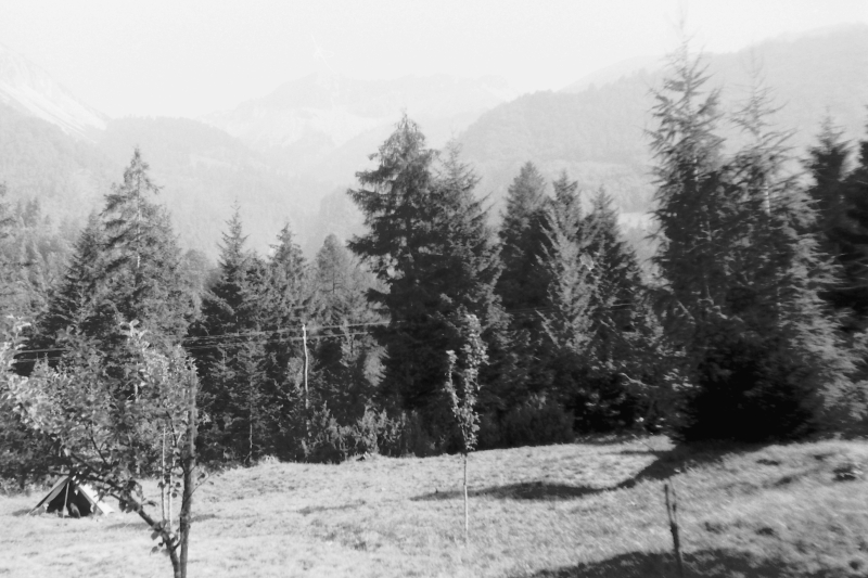 1971- vdb branco sPioX e sBona--vedute dal prato di otorino belito _2.jpg