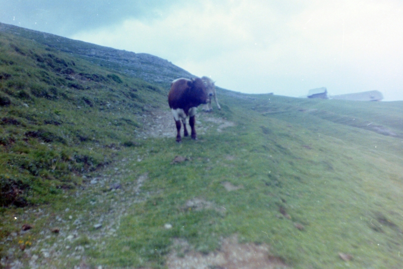 1971 Campo della frontiera - valbruna-rip s pioX- viaggio prima classe di a dallagata _2.jpg