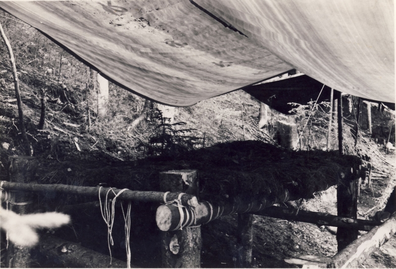 1973  rip s pioX - campo fiaccola accesa - Val da rin - angolo di sq  10.jpg