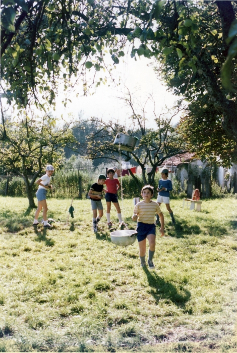 1974 vdb 3branchi del TV2 a Villa di Pria-sGiustina BL - Palio di villa di Pria - gioco di squadra_1.jpg