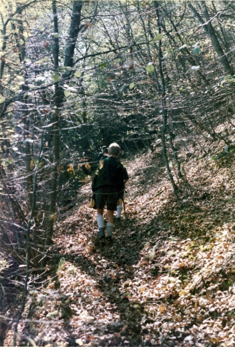 1974 vdb 3branchi del TV2 a Villa di Pria-sGiustina BL -a caccia nel bosco.jpg