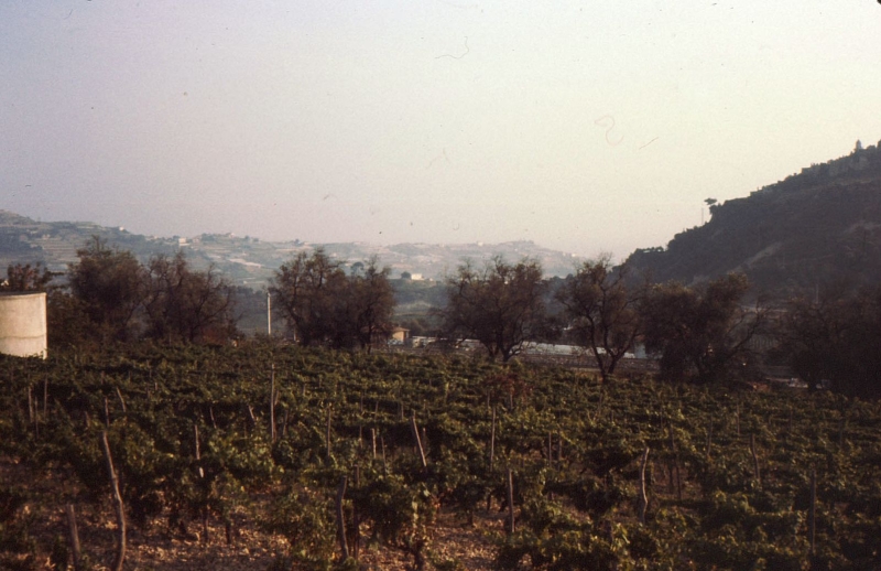 1978a campo mobile internaz FSE - Lourdes - viaggio di andata-2.jpg