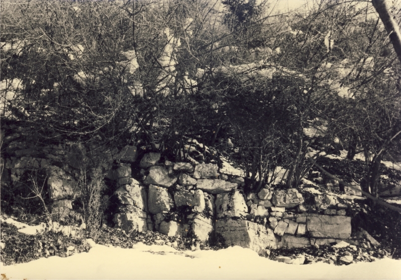 1978 Clan nuova strada sPioX - uscita di noviziato a Milies_7.jpg