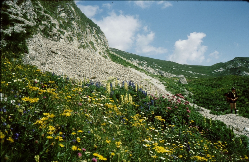 1979d Clan Nuova Strada - sPioX - campo mobile vette feltrine 12 - in marcia verso passo Piètena.jpg