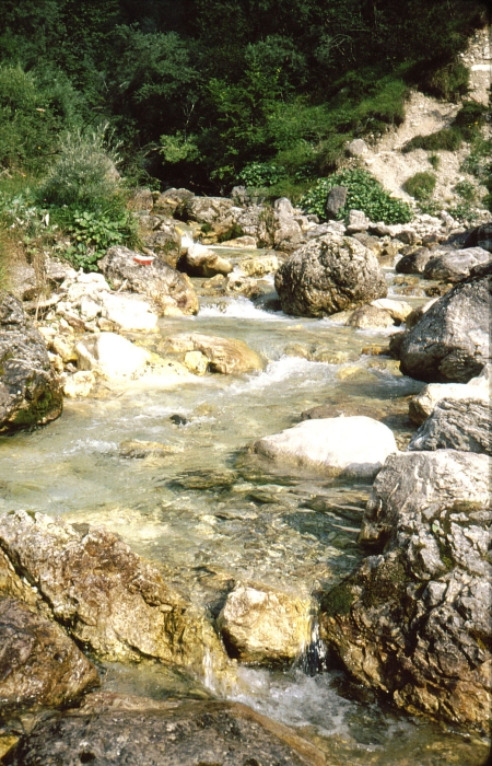 1979h Clan Nuova Strada - sPioX - campo mobile vette feltrine 16 - torrente Stien.jpg