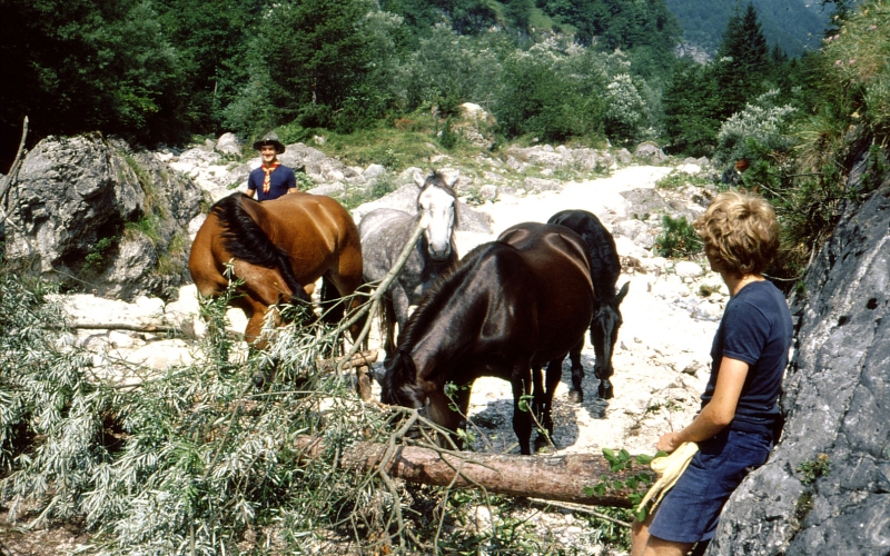 1979h Clan Nuova Strada - sPioX - campo mobile vette feltrine 17 - in val di sMartino.jpg