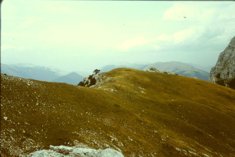 1982 Clan nuova strada - campo naz rover dei monti Ernici - 20 il passo dell'Orso.jpg