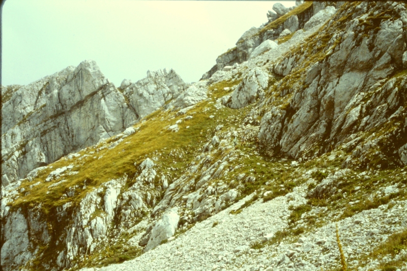 1982 Clan nuova strada - campo naz rover dei monti Ernici - 28 attraversamento della Camosciara.jpg