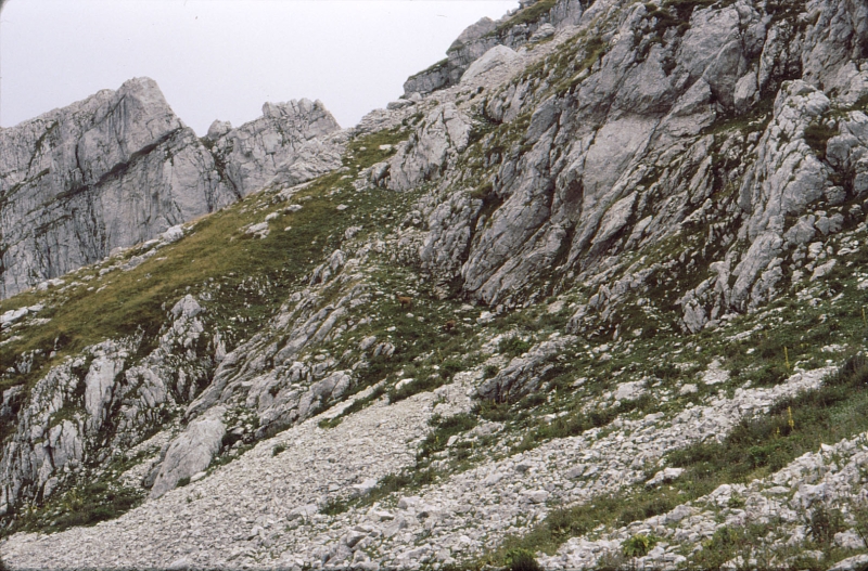 1982 Clan nuova strada - campo naz rover dei monti Ernici - 29 attraversamento della Camosciara.jpg