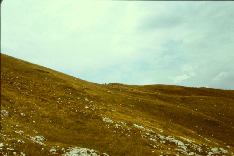 1982 Clan nuova strada - campo naz rover dei monti Ernici - 33 attraversamento della Camosciara.jpg