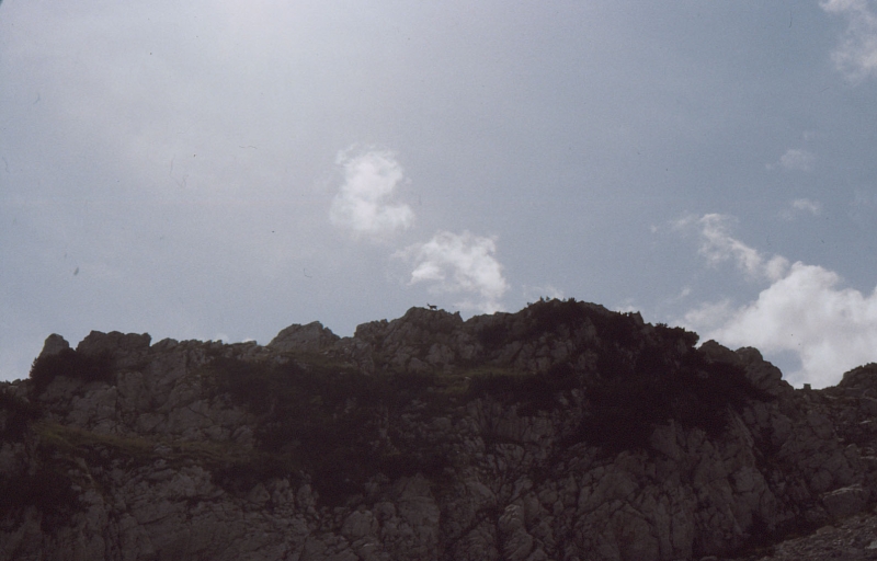 1982 Clan nuova strada - campo naz rover dei monti Ernici - 34 attraversamento della Camosciara.jpg