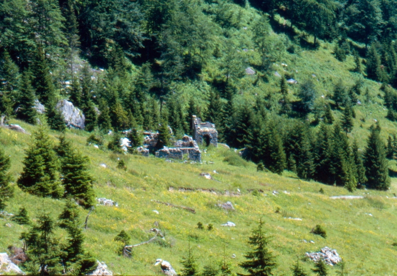 1985 007 Timau 07.jpg