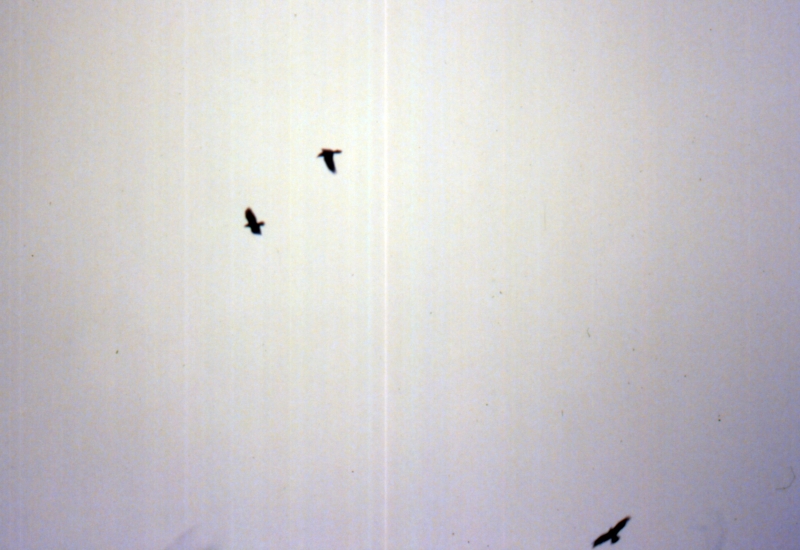 1986 005 Crespano 23 03.jpg