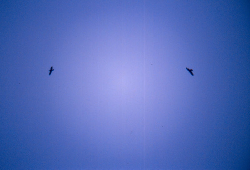 1986 006 Crespano 23 03.jpg