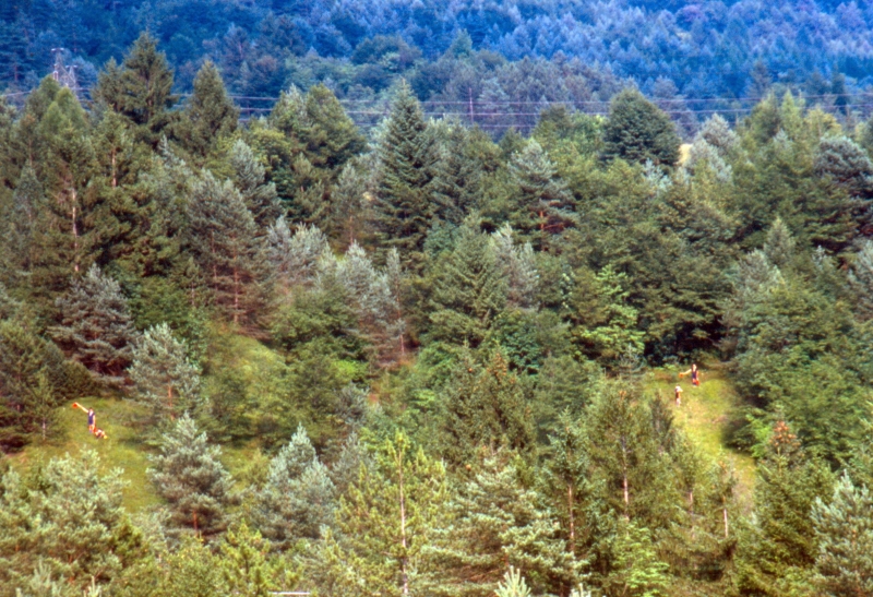 1986 055 Tramonti 14 07.jpg