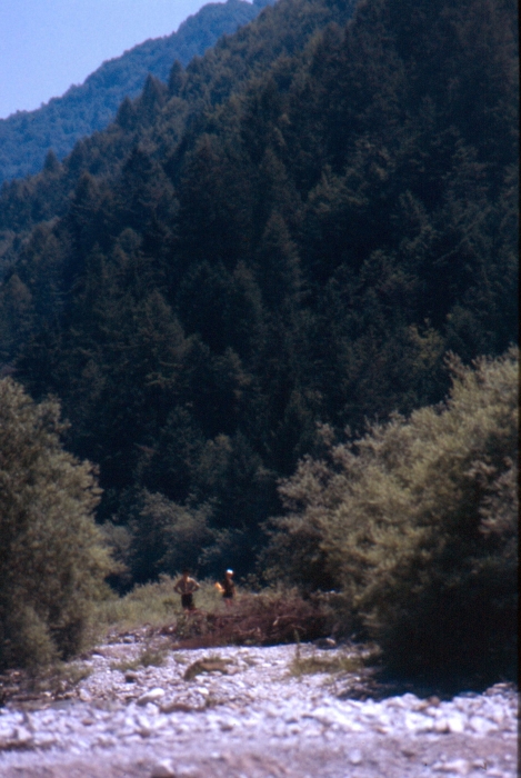 1988 050 Claut 07.jpg