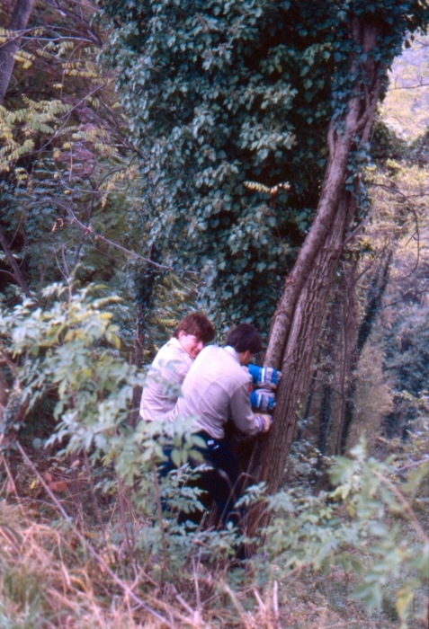 1988 110 Follina 12 11.jpg