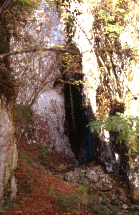 1989 100 V S Liberale 11 11.jpg