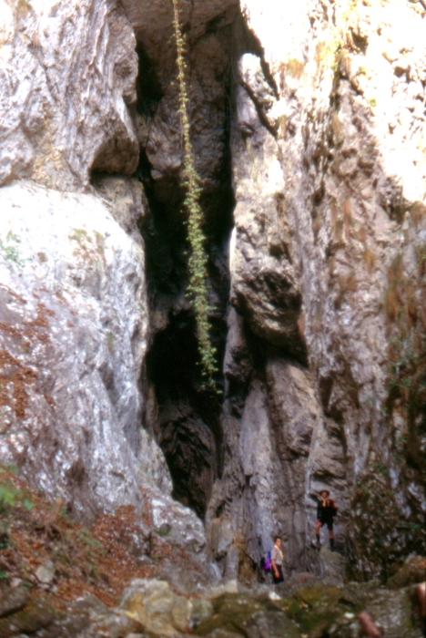 1989 102 V S Liberale 11 11.jpg