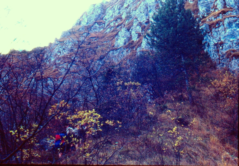 1989 103 V S Liberale 11 11.jpg