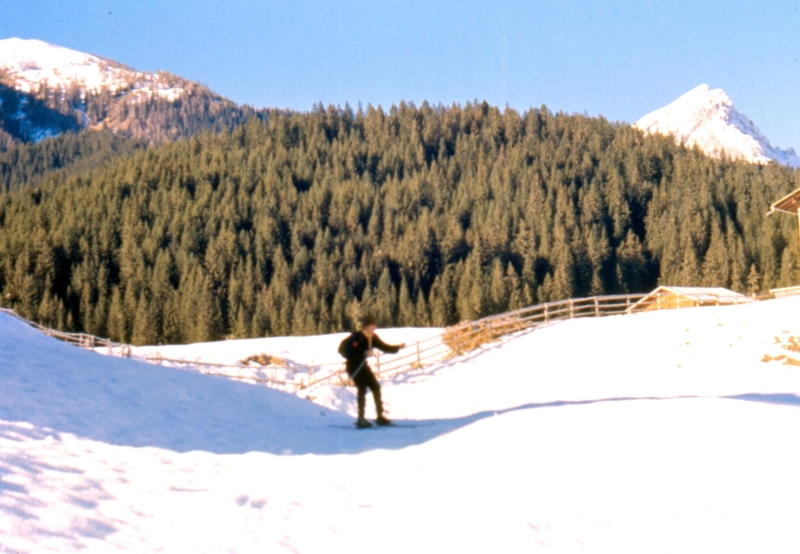 1989 113 V Visdrndr 12.jpg