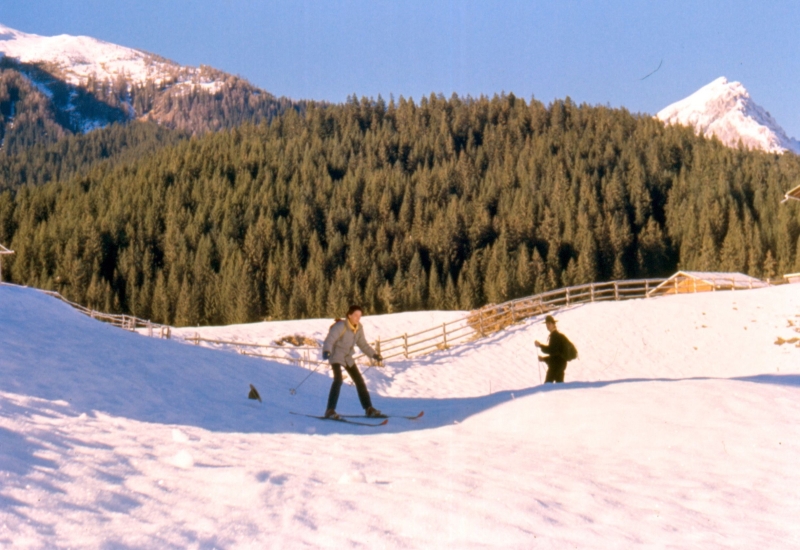 1989 115 V Visdende 12.jpg