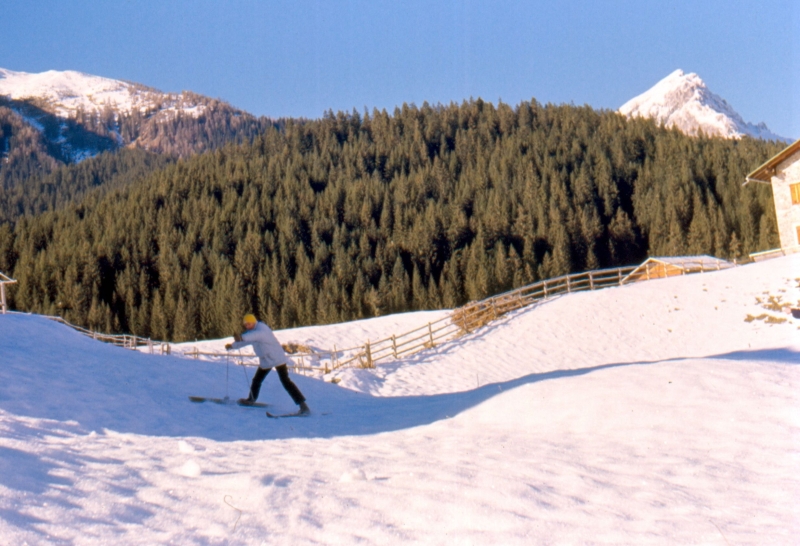 1989 116 V Visdende 12.jpg