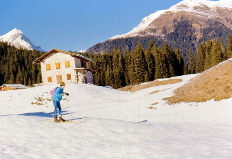 1989 117 V Visdende 12.jpg