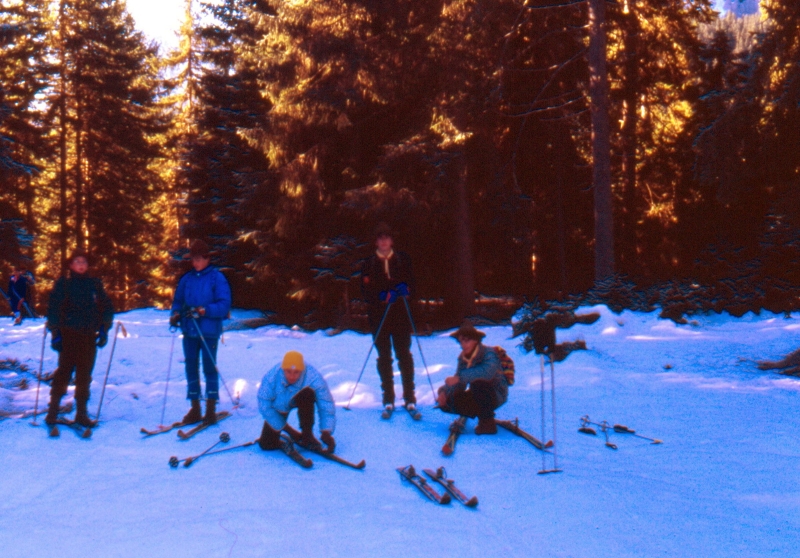 1989 118 V Visdende 12.jpg