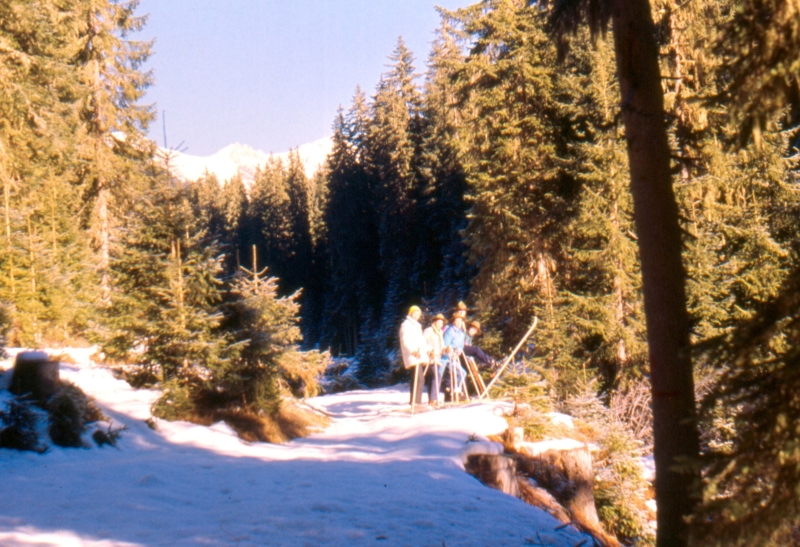 1989 120 V Visdende 12.jpg