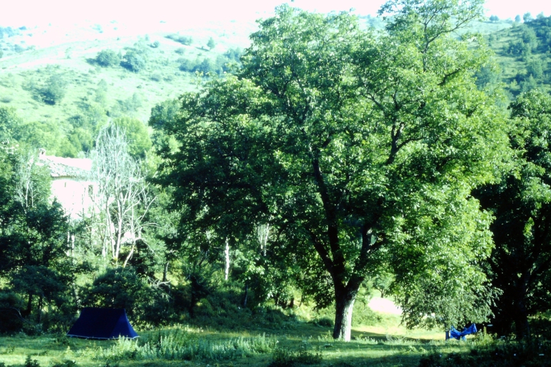 1992a FSE - Campo mobile nazionale rover - Vasto - L'Aquila_12.jpg