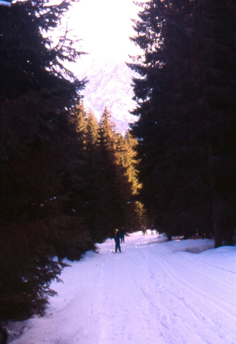 1992 003 V Visdende 02 01.jpg