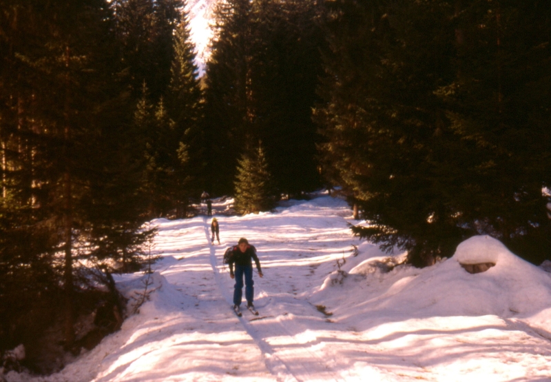 1992 004 V Visdende 02 01.jpg