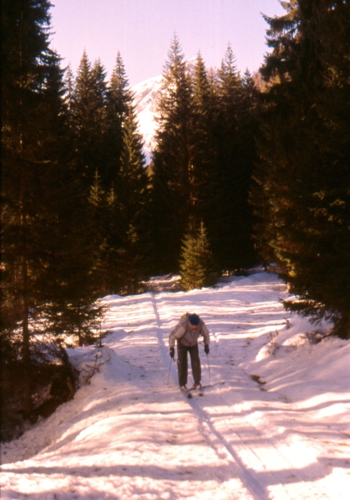 1992 005 V Visdende 02 01.jpg